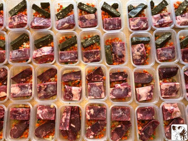 Dalmatiner Camilla BARF Fleisch Innereien Pansen Blättermagen Gemüse
